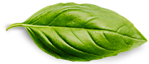 Alepposeife Home Basil Leaf