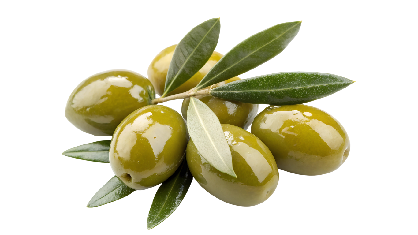 alepposeife olive branch 